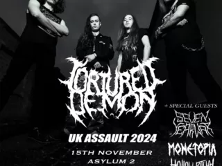 birmingham-asylum-15th-november-2024