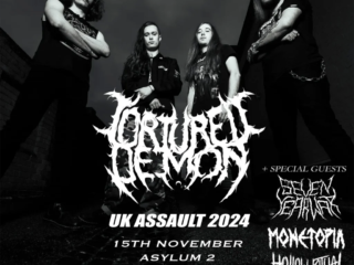 birmingham-asylum-15th-november-2024